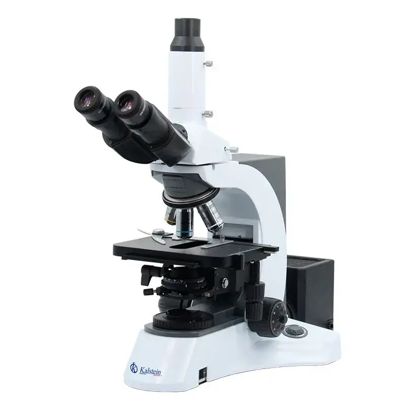 Microscope Trinocular YR0231: Buying Criteria and Validation
