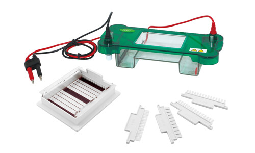 Horizontal Electrophoresis YR03416: Precision and Traceability