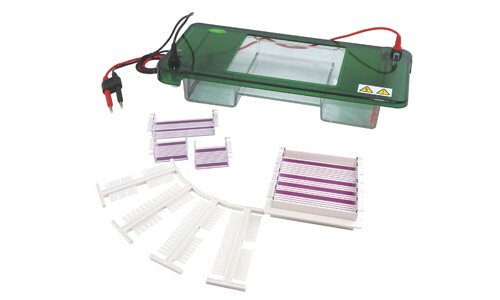 Horizontal Electrophoresis YR03418: An In-Depth Review