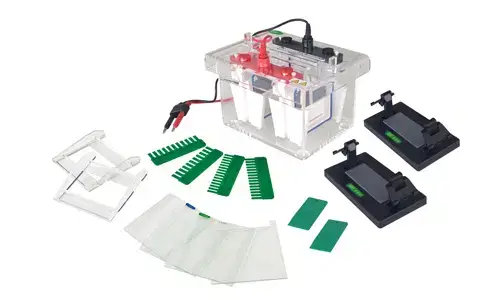 Mini-Protean Vertical Electrophoresis YR03426