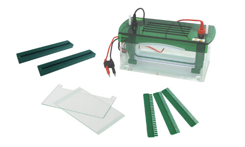 Verticale Elektroforese Tank YR03428