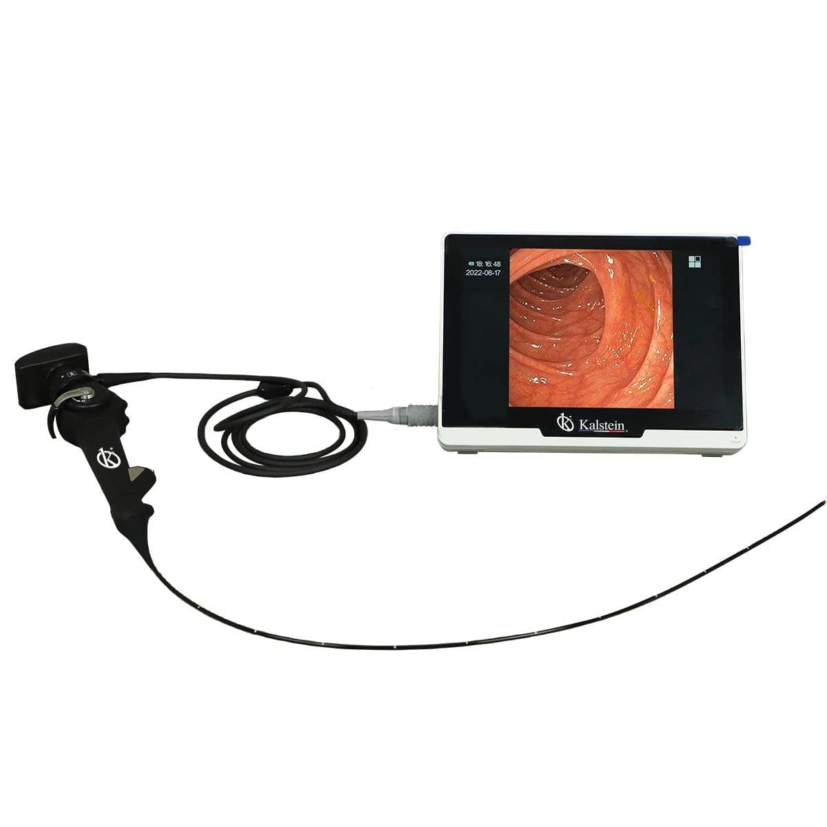 Draagbare Veterinaire Video Endoscoop YR06152