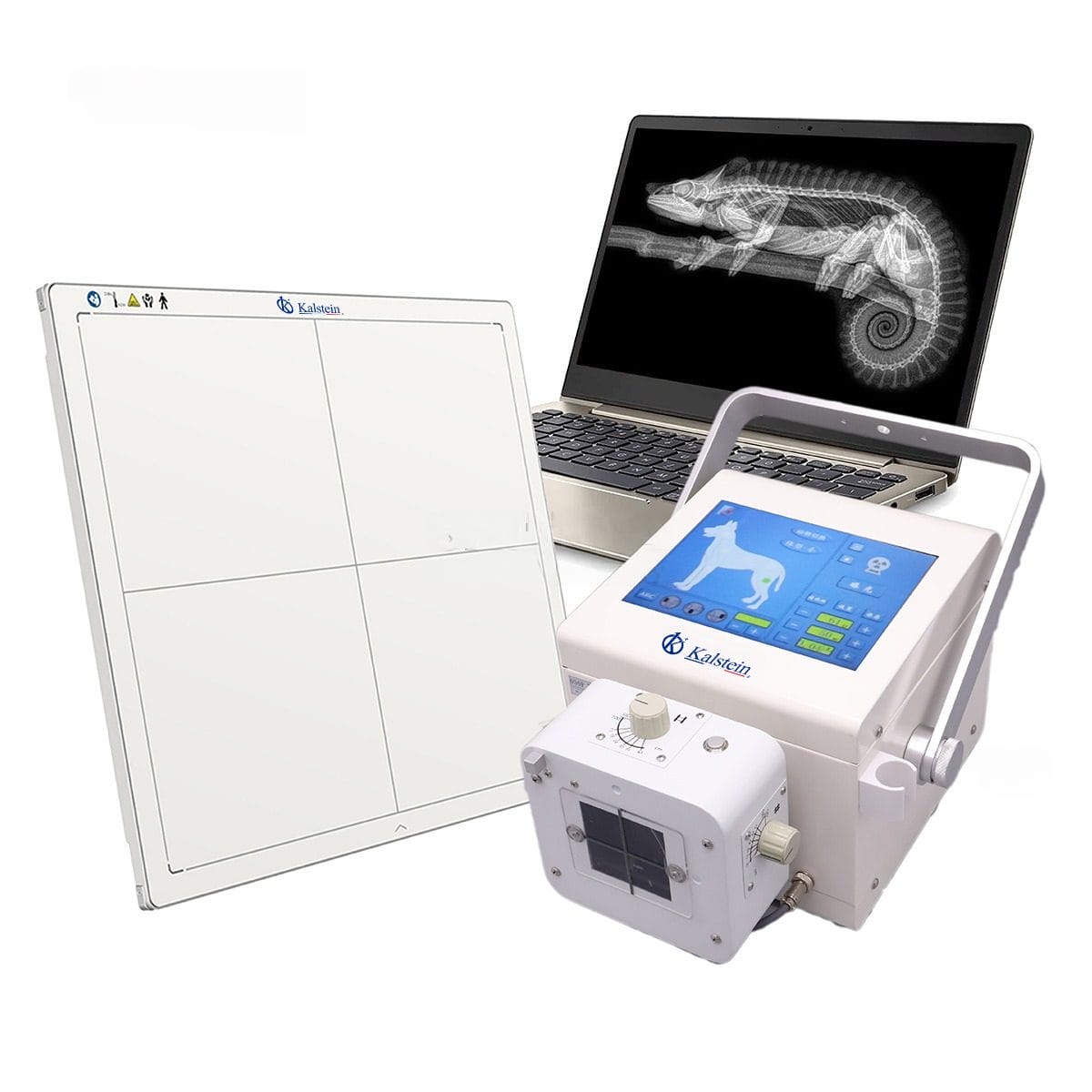 Portable Digital Veterinary X-Ray YR06160: Comprehensive Guide to Consumables, Spare Parts, and Accessories 2026