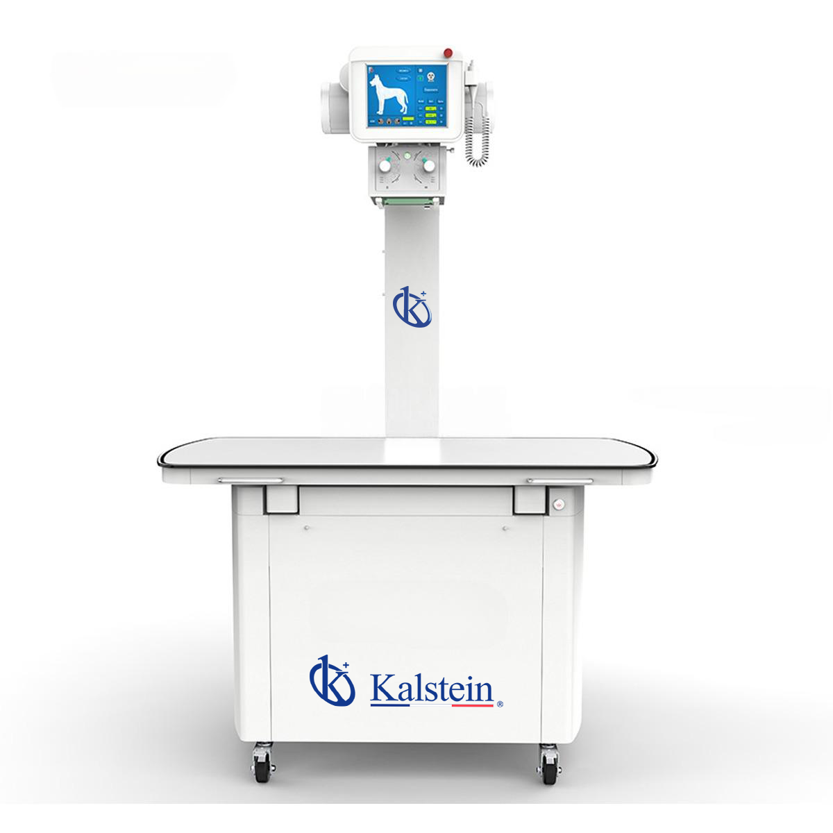 Digital Stationary Veterinary X-rays YR06163: A Comprehensive Overview