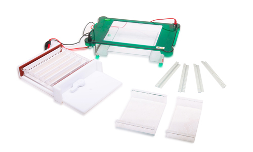 Electrophoresis