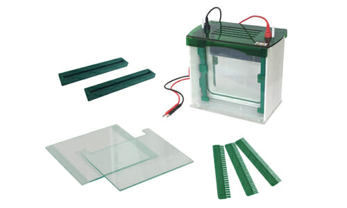 State-of-the-Art Electrophoresis: Fast and Accurate Analysis for Research Laboratories
