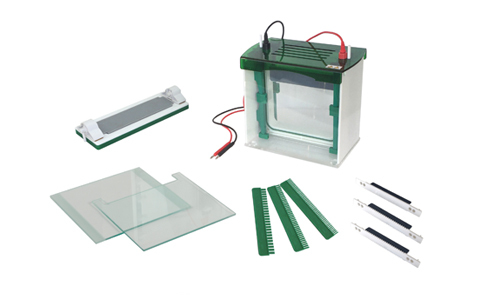 Vertical