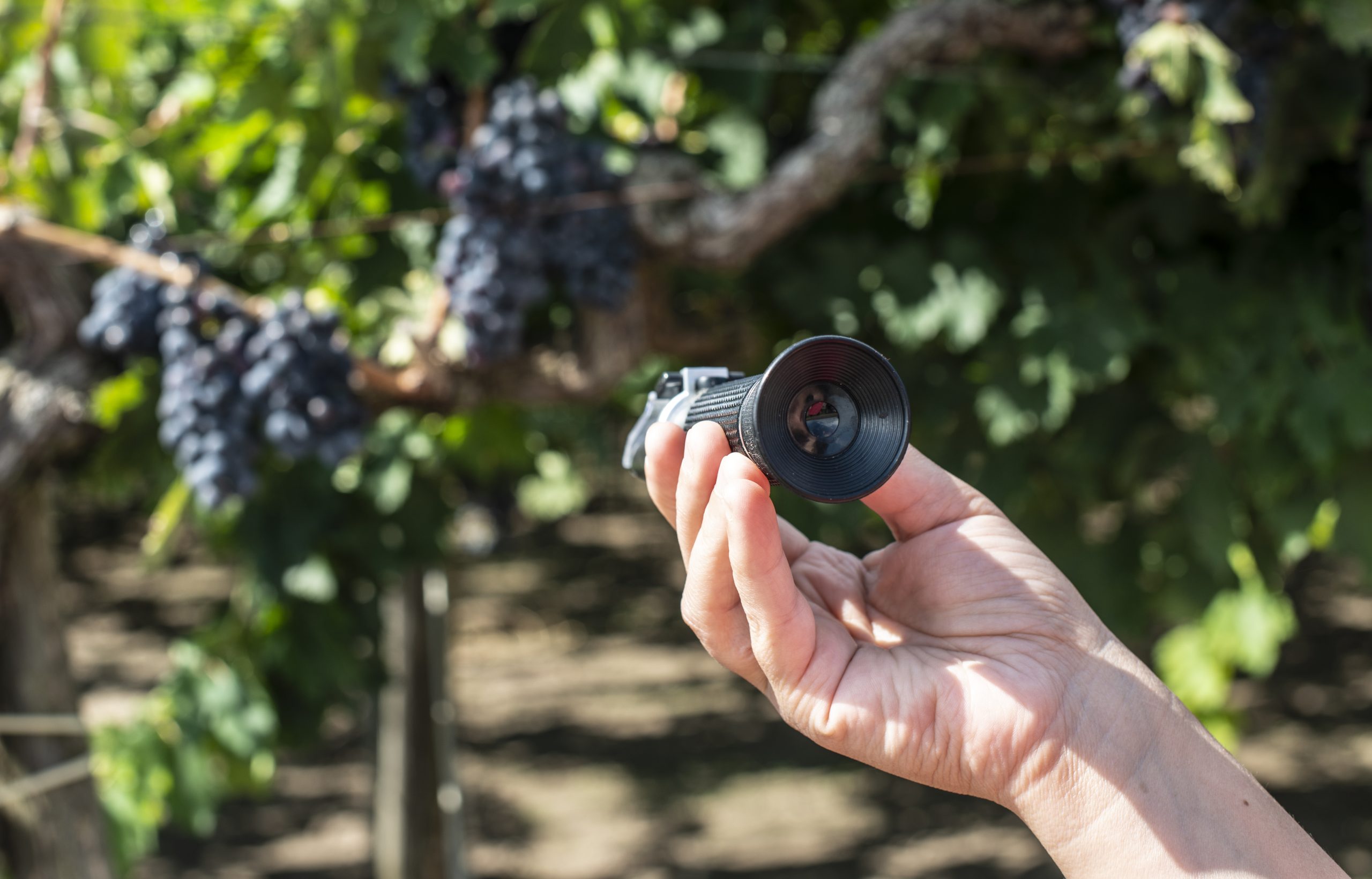 What are the advantages of using the Refractometer?