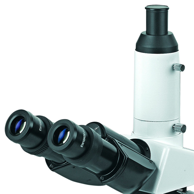 Inverted Metallurgische Microscoop YR0258 – 1