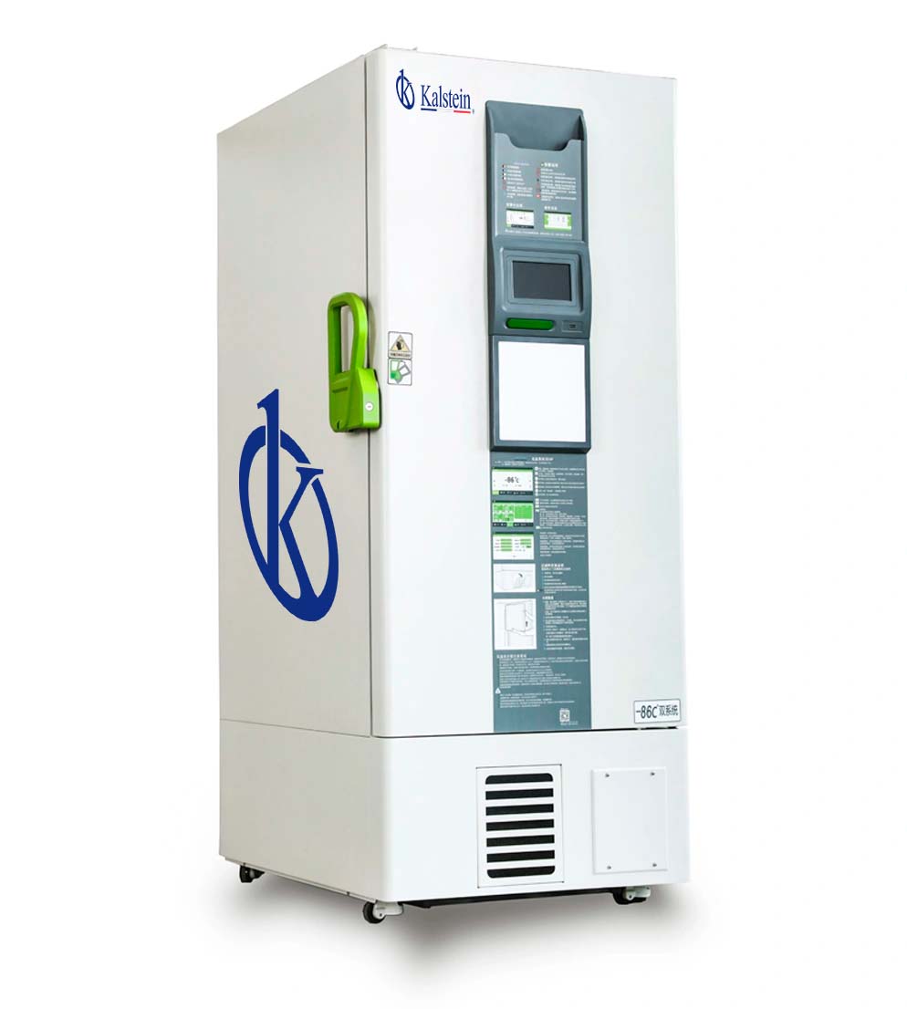 Upright Freezer