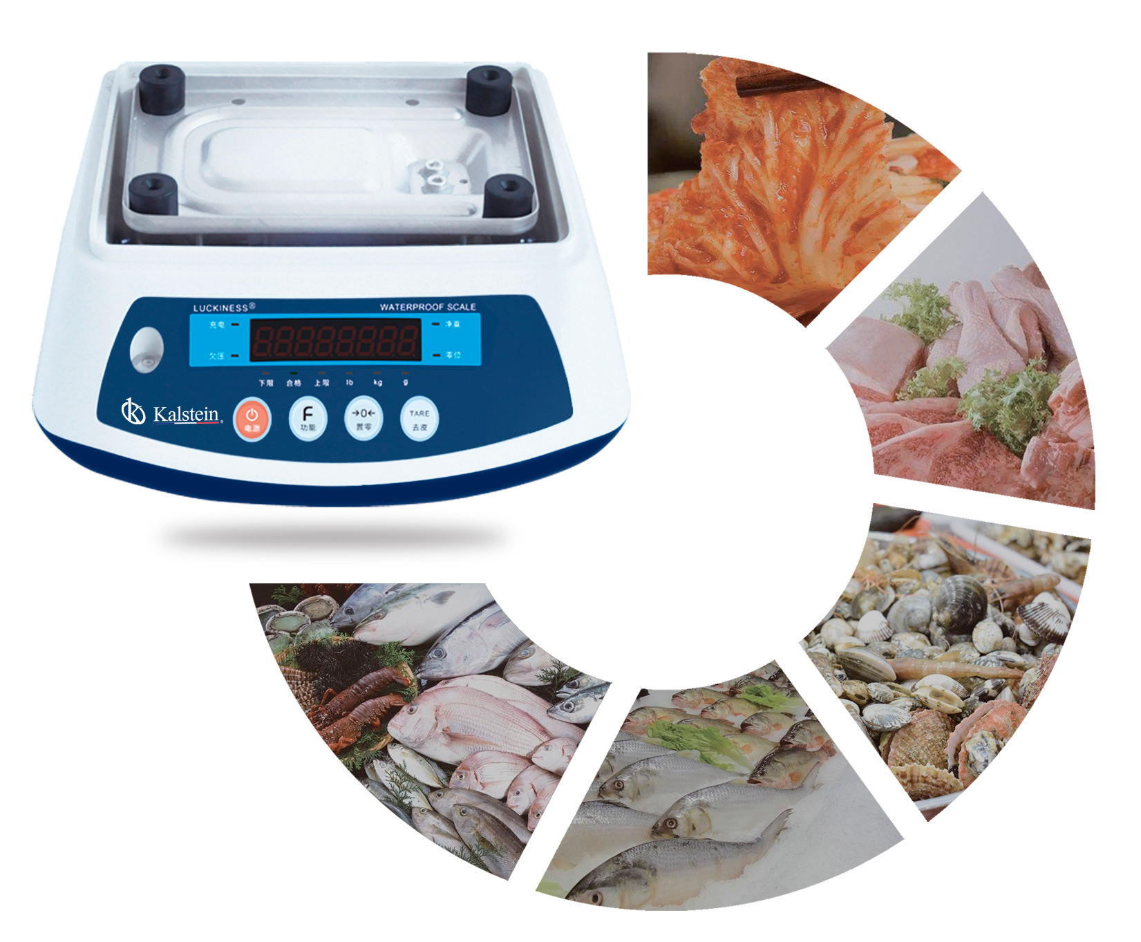 Waterproof Scale YR05623 // YR05628 – 2