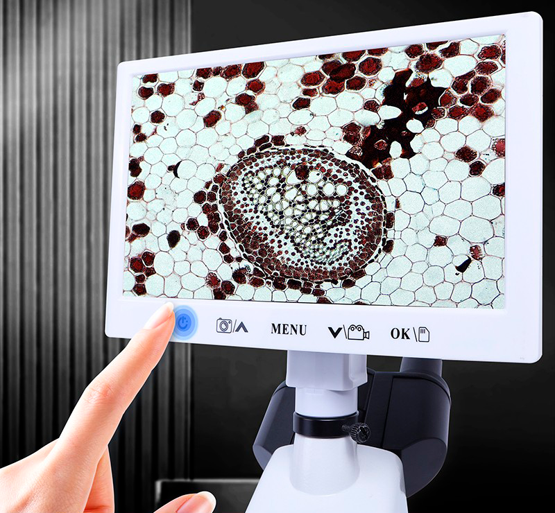 Machtige Microscoop Vergelijking: Kalstein's Dubbele Lens vs Plugbare Digitale Modellen
