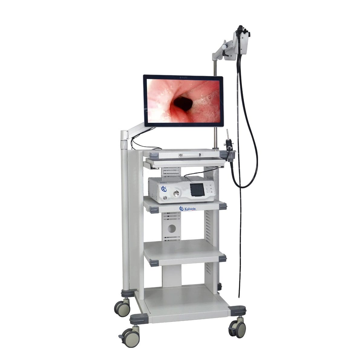 Veterinary Video Endoscope