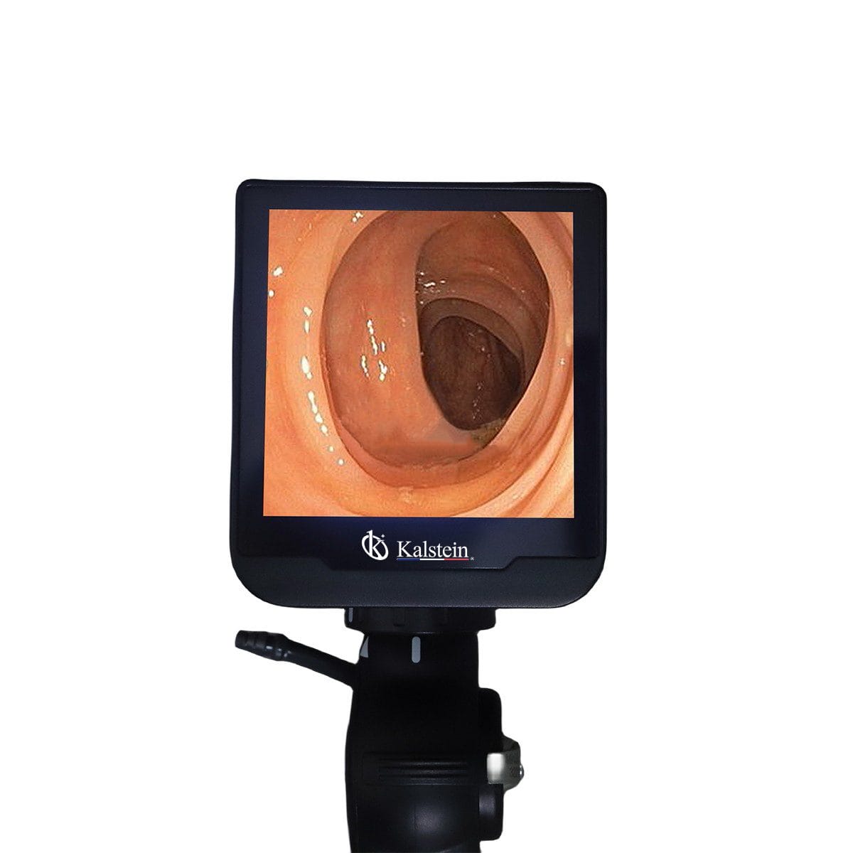 Portable Veterinary Video Endoscope YR06151//YR06155 – 1