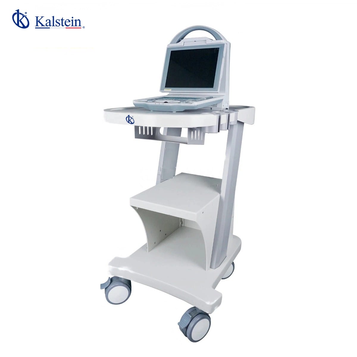 Revolutionizing Veterinary Care: A Comprehensive Guide to Veterinary Ultrasound by Kalstein