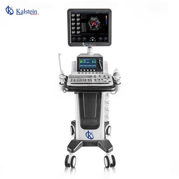 Veterinary Ultrasound: Real-Time Imaging for Non-Invasive Exams