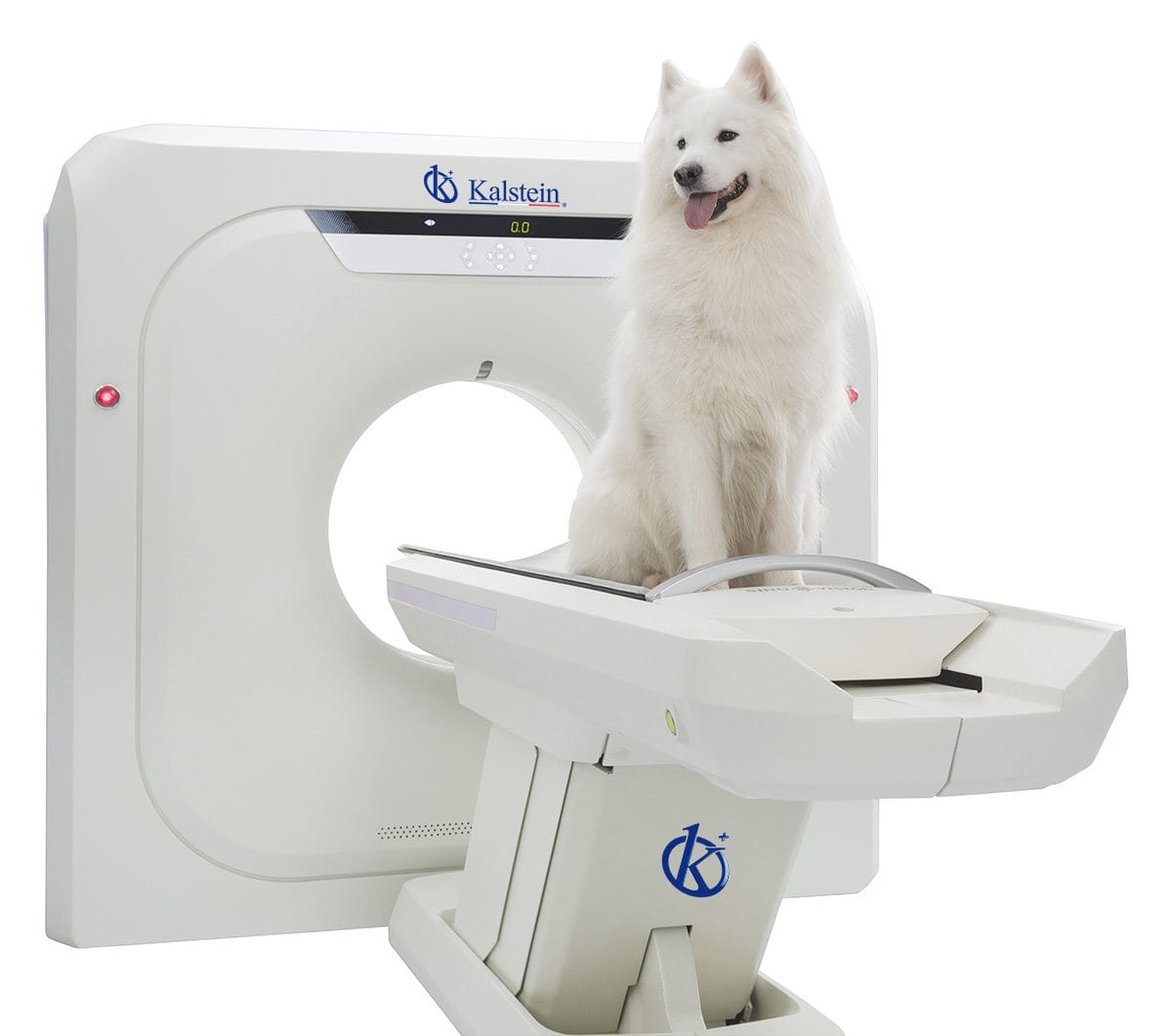 Revolutionizing Veterinary Diagnostics: The Kalstein Veterinary CT Scanner Advantage