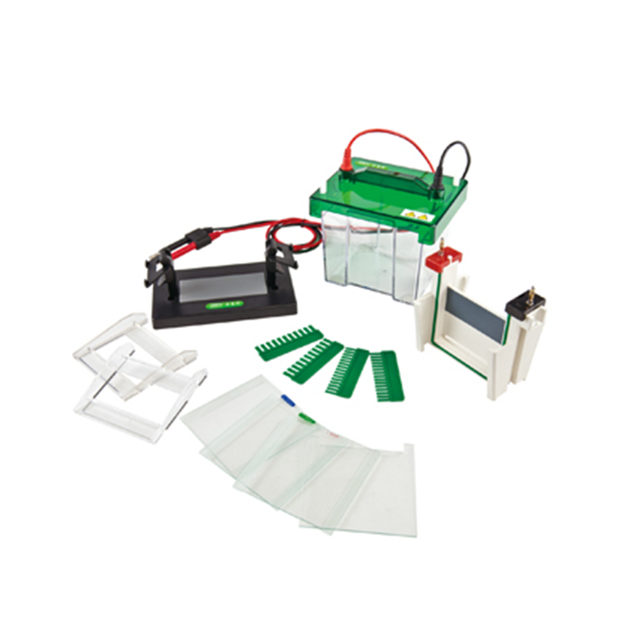 Electrophoresis in the Market Context: Advantages, Disadvantages, and Key Comparisons