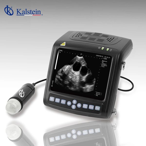Unlocking the Future of Animal Healthcare: A Deep Dive into Veterinary Ultrasound Systems