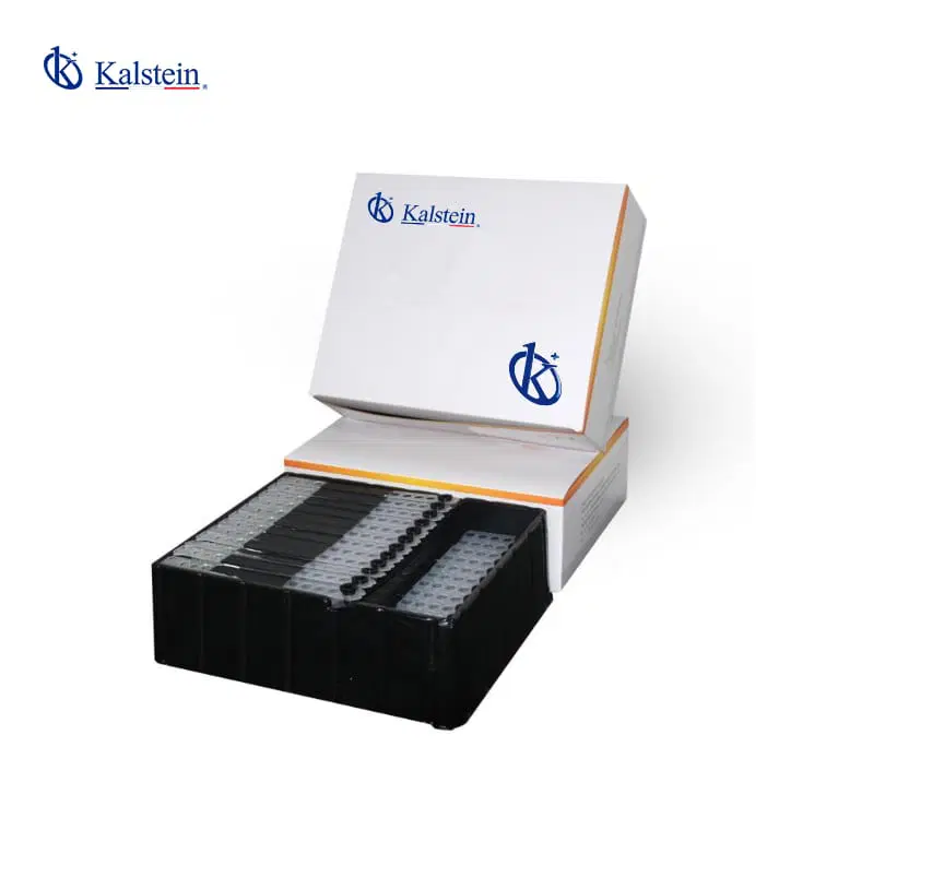 Laboratory Consumables: Essential Solutions for Precision in Experiments